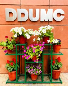 Support and Facilities