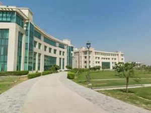 Noida University