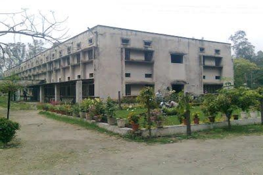 D.N Polytechnic