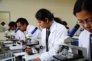 Courses and Specializations