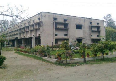 D.N Polytechnic